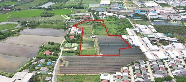 ��·��Թ ��з���ẹ��ط��Ҥ�