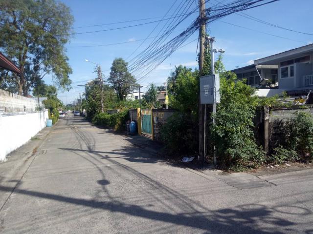 ��º�ҹ �ѧ�ͧ��ҧ��ا෾