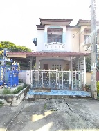 ��ǹ����������������