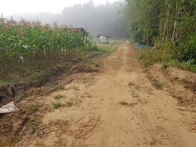 ��·��Թ ����ԧ��§����