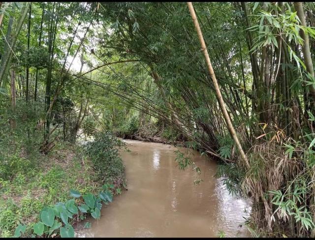 ��·��Թ ����ԧ��§����