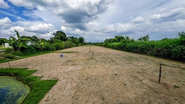 ��·��Թ ˹ͧ���ͻ����ҹ�