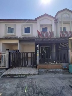 ��ǹ����������������