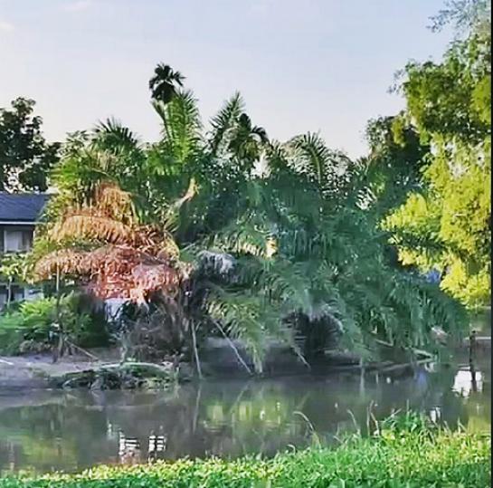 ��·��Թ ͧ��ѡ�칤ù�¡