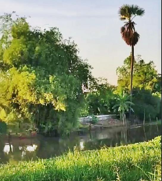 ��·��Թ ͧ��ѡ�칤ù�¡