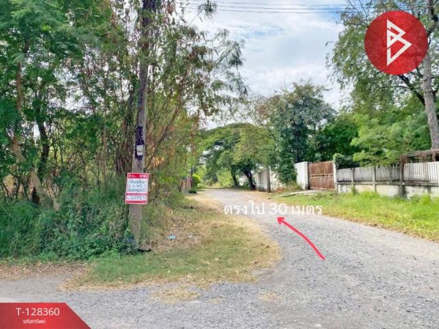 ��·��Թ ���ͧ�͹�蹢͹��