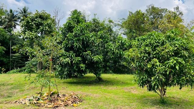 ��·��Թ �ҡ��չ�ù�¡