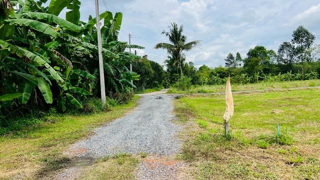 ��·��Թ �ҡ��չ�ù�¡