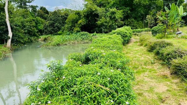 ��·��Թ �ҡ��չ�ù�¡