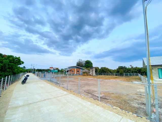 ��·��Թ �ѹ��ҵͧ��§����