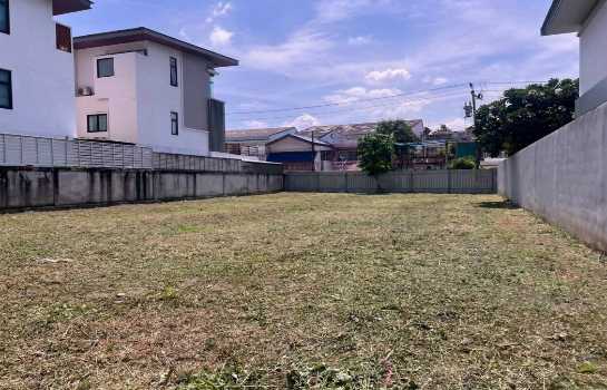 ��·��Թ �Ҵ����ǡ�ا෾