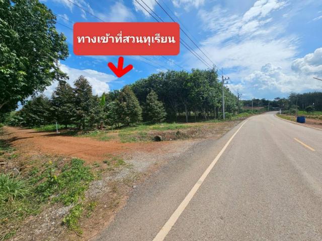 ���Թ 5 ���