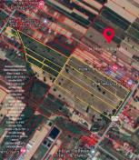 ���Թ����͹���Ф���