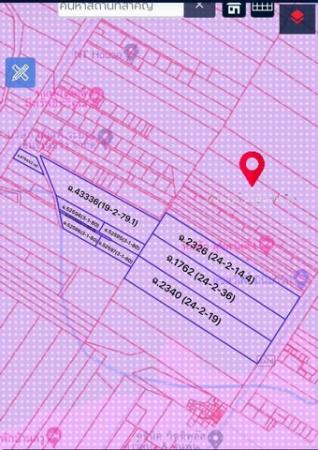 ��·��Թ �Ԥ��Ѳ�����ͧ