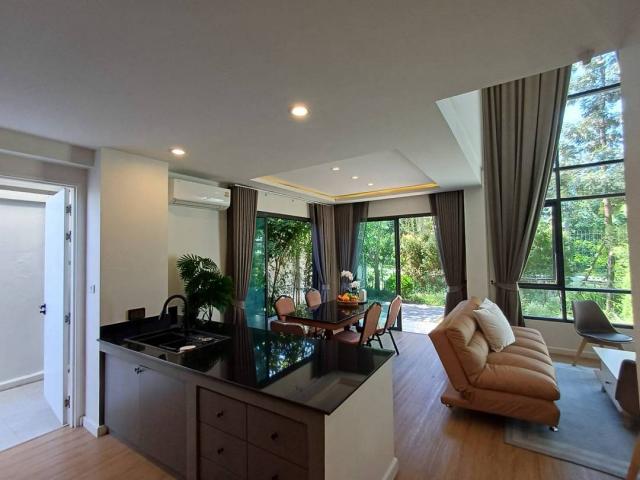 ��º�ҹ ���ͧ��§������§����