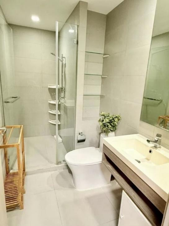 �͹������� ���⢹�