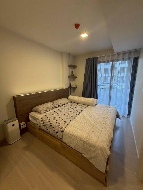 �͹�������ͧ