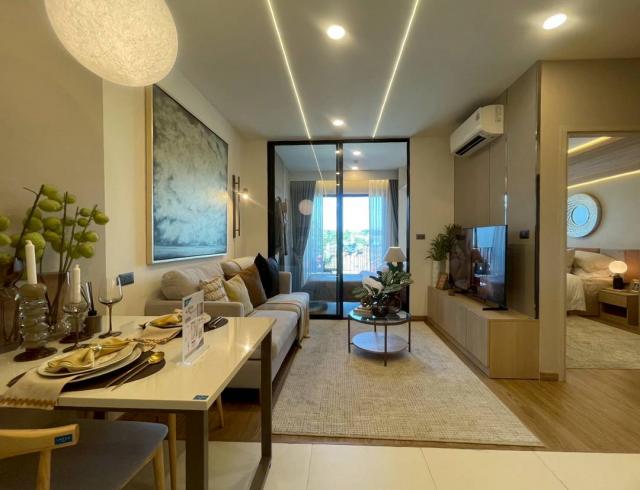 ��¤͹� �ѹ������§����