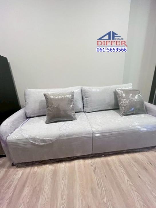 �͹������� �ҧ�˭蹹�����