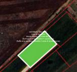 ��¸�áԨ �Ҥһ�С�Ȣ�� 530,000 �ҷ