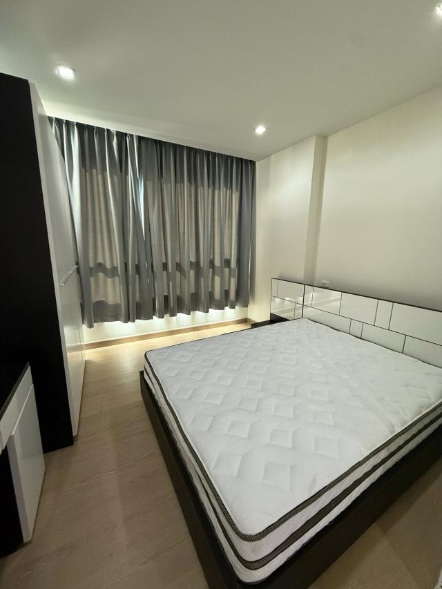 �͹������� �ҧ�л�