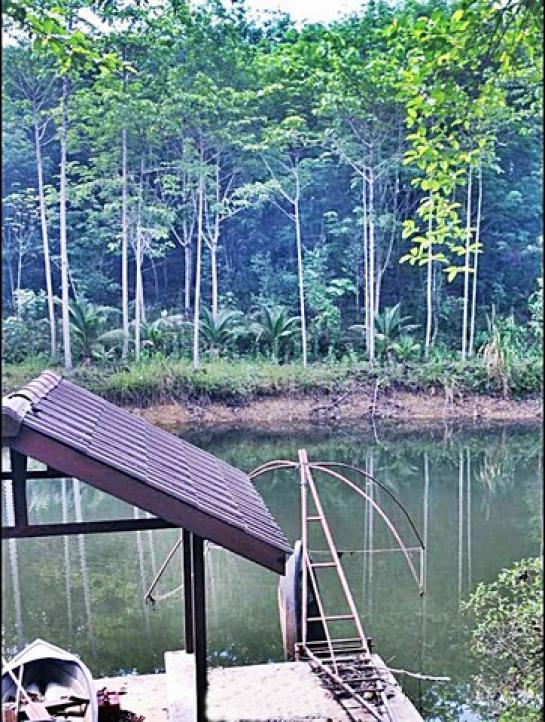 ���Թ �ѹ�����