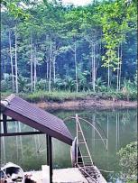 ���Թ�ͧ��繷����