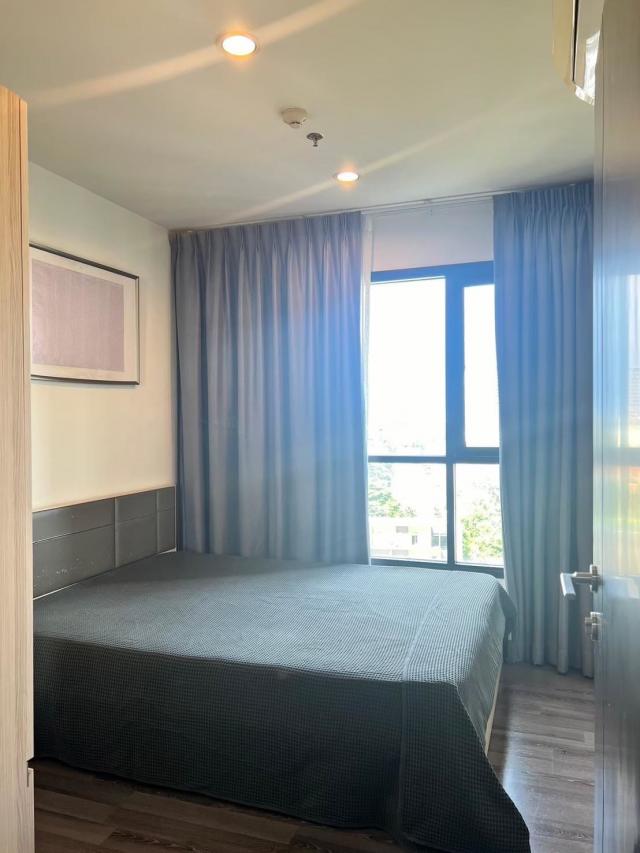 �͹� ��͹�ت