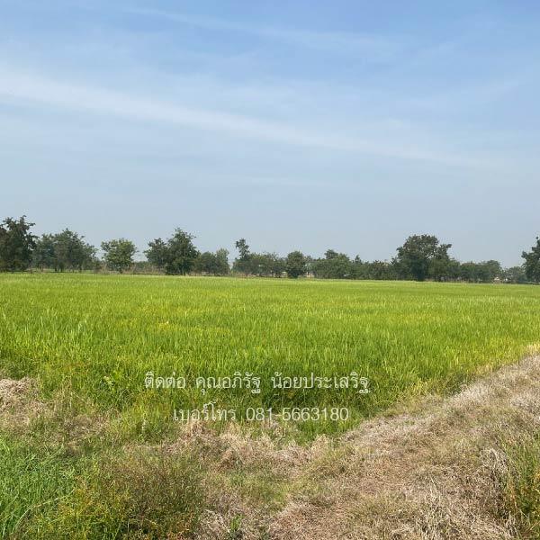 ��·��Թ ��������ǹ�����ä�