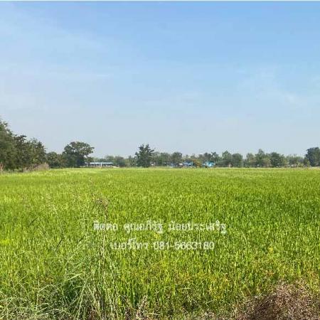 ��·��Թ ��������ǹ�����ä�