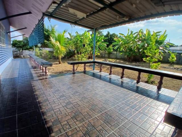 ��ҹ������ �ҧ�� ��§����