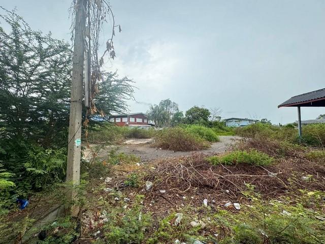 ��·��Թ ���ͧ��ط�ʧ������ط�ʧ����