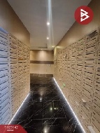 �͹� ����Ҫ�