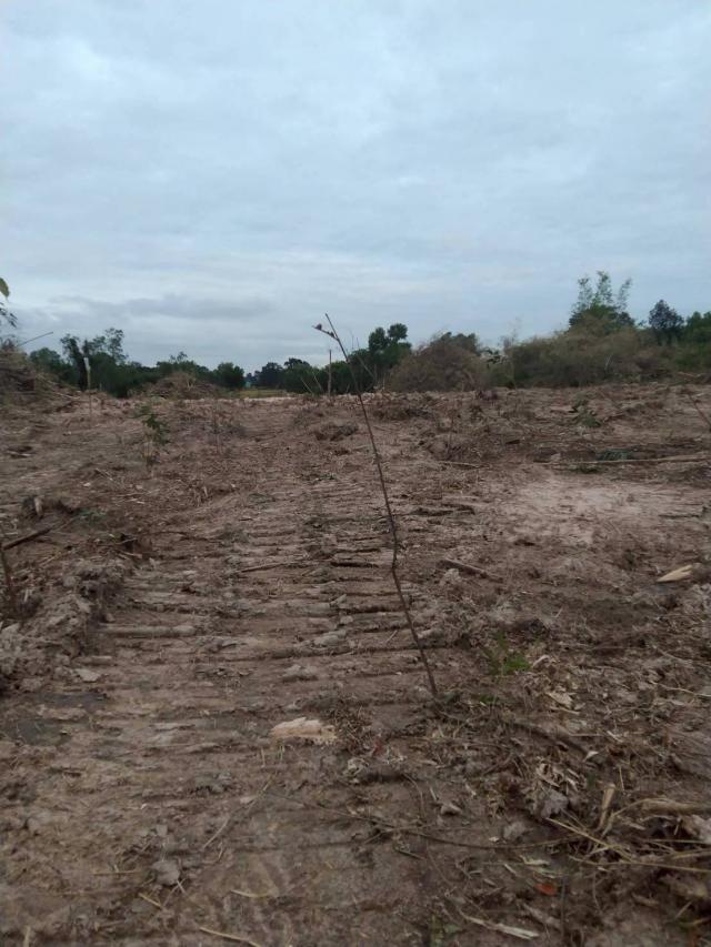 ���Թ ���ͺ�