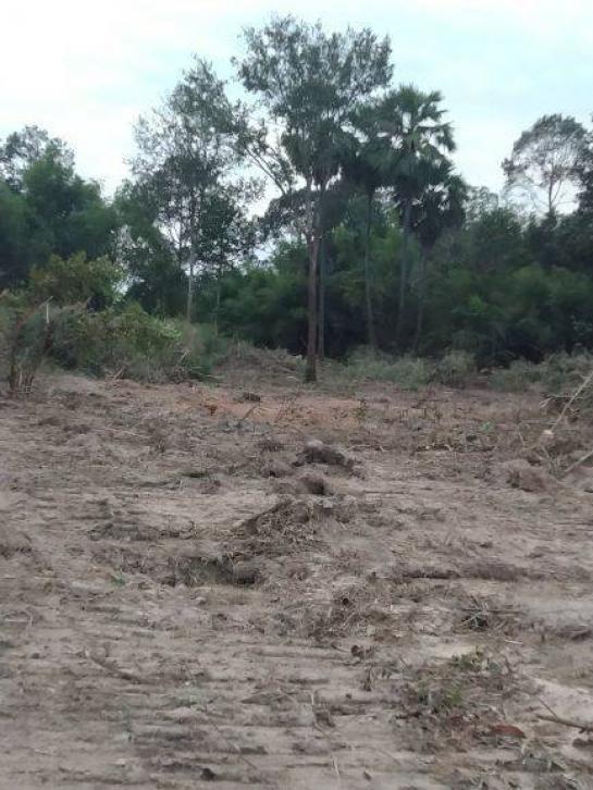 ��·��Թ ��Шѹ������Ҩչ����