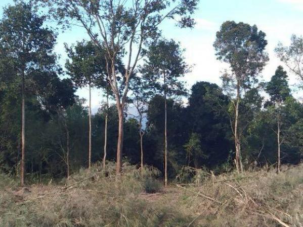 ��·��Թ ��Шѹ������Ҩչ����