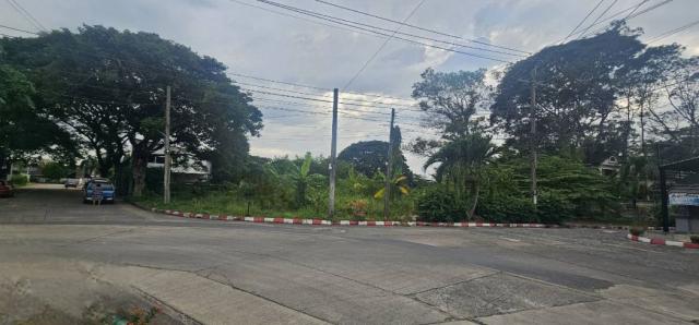 ��·��Թ �ҧᤡ�ا෾