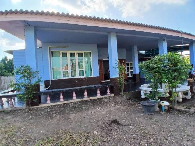 ��ҹ��§���� 10,000 �ҷ�����͹