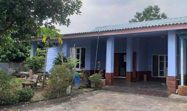 ��ҹ�ç���¹�ҹҪҵ� ��§����