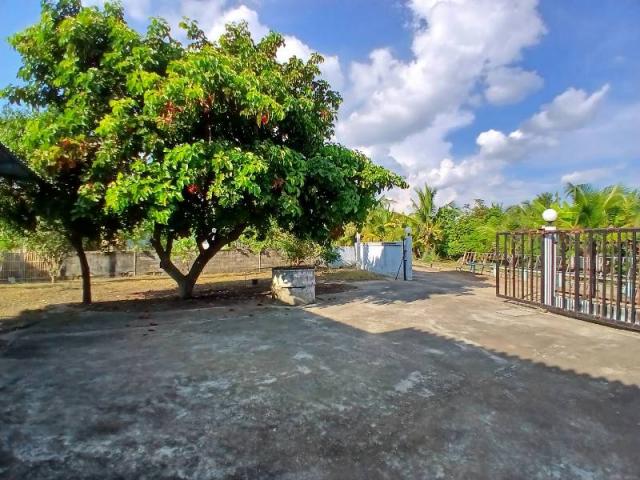 ��ҹ�ҧ�� ��§����