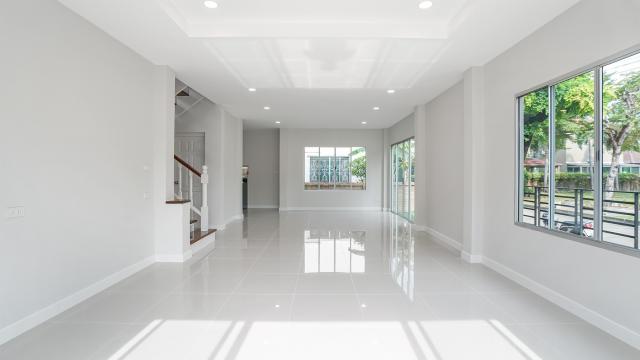 ��º�ҹ �ҧ���¹������