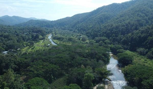 ���Թ �Դ�����