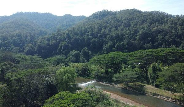 ��·��Թ ���������§����