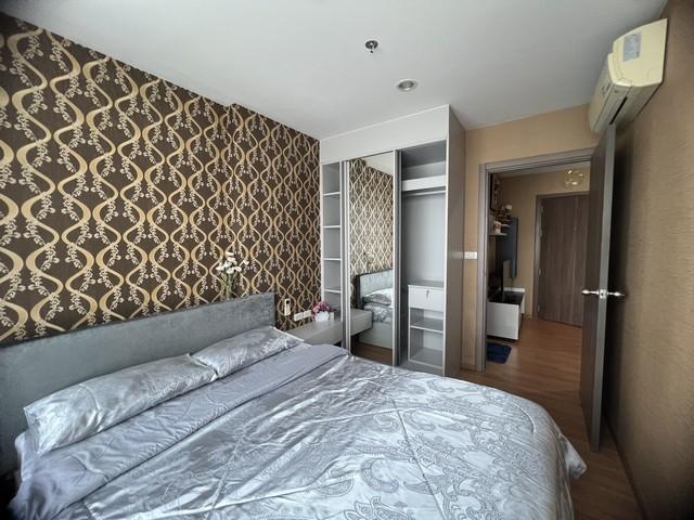 �͹� ������§