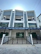 ��ǹ���������������