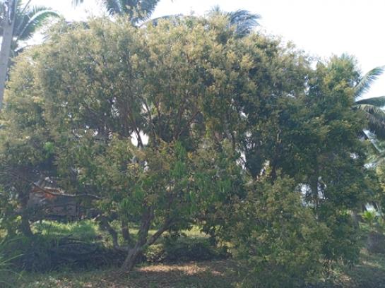 ��·��Թ ��������ط�ʧ����