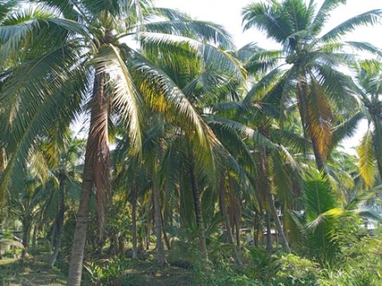 ��·��Թ ��������ط�ʧ����