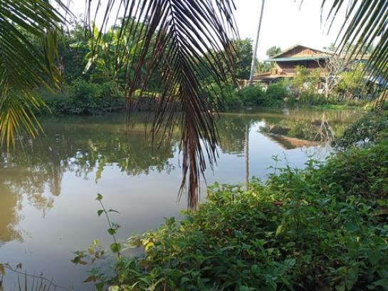 ���Թ �Դ�����