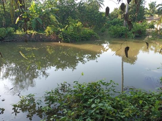 ��·��Թ �ҧ������ط�ʧ����