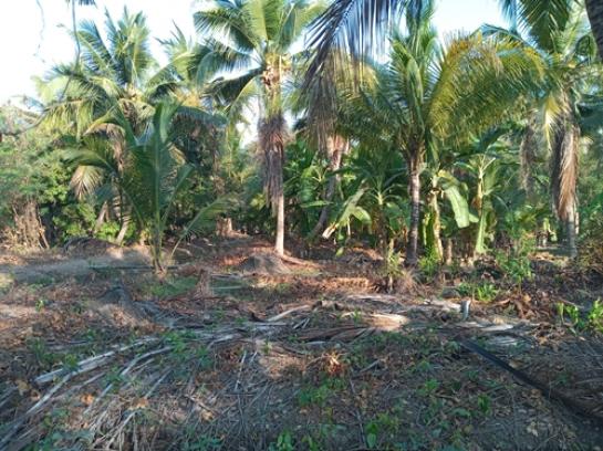 ��·��Թ �ҧ������ط�ʧ����